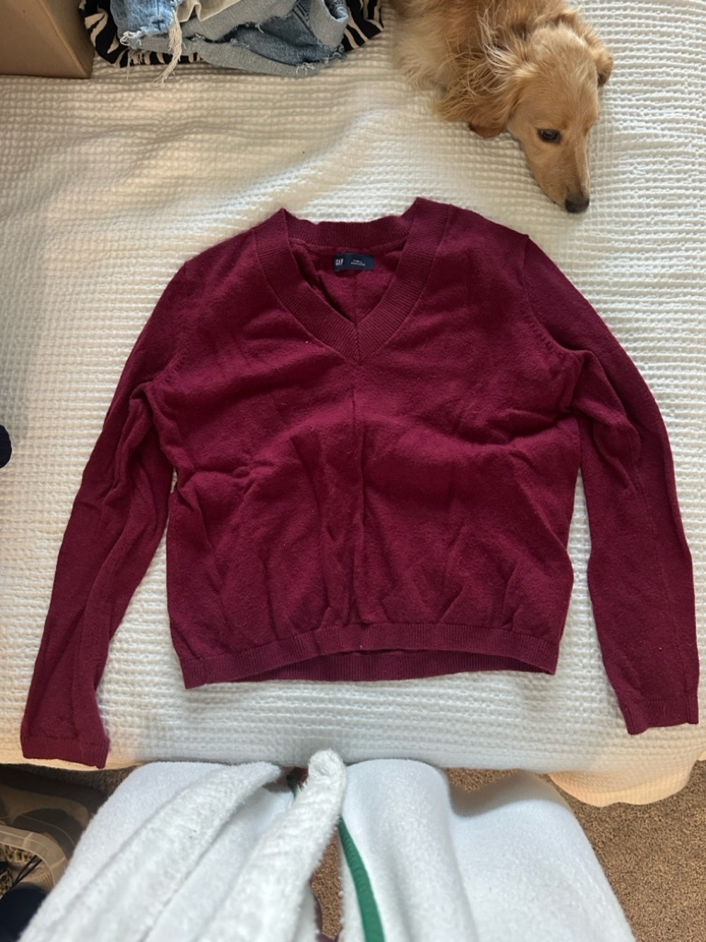 GAP Women's V-Neck Sweater in Burgundy